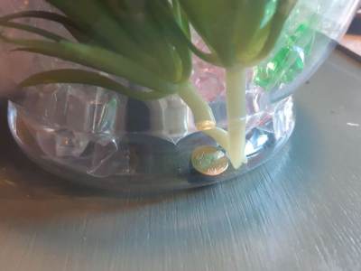 Photo of DiY Unicorn Terrarium Toy