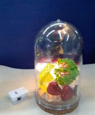Photo of DiY Mini Landscape Light