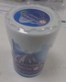 Photo of Glacier Slime