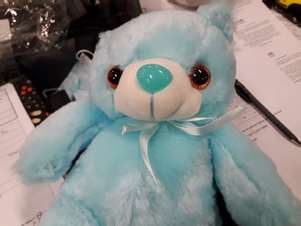 Photo of Small LED Plush Bear