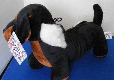 Photo of PMS SpringPet – Dachshund