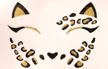Photo of Vice Versa Boutique Leo Face Sticker