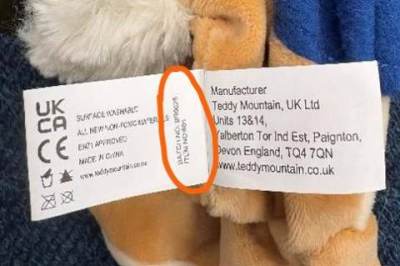 Photo of Teddy Mountain UK Ltd Peter Rabbit Plush Toy