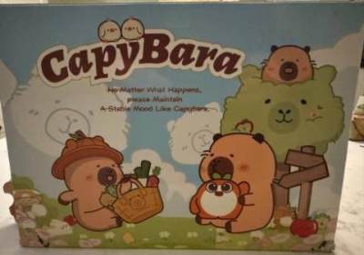 Photo of Capybara Advent Calendar 2025 sold via Amazon
