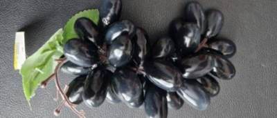 Photo of Bag of Imitation Grapes