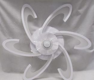 Photo of Ceiling Fan with Light CH(30-70W)X2