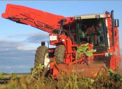 Photo of Dewulf R 3060 2-Row Self Propelled Potato Harvester (2006 onwards)