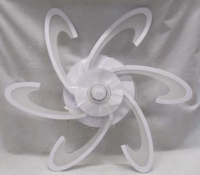 Photo of Ceiling Fan with Light