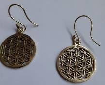 Photo of Gold and silver-coloured earrings sold by Gecko Gifts Limited