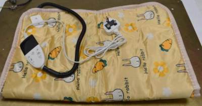 Photo of HR Huare Technology Pet Heating Pad sold via Amazon
