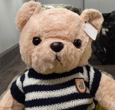 Photo of Teddy Bear with Striped Jumper