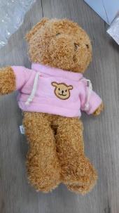 Photo of Colors Plush Teddy Bear in Hoodie