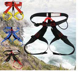Photo of Unusual Two Climbing Harness sold via Wish