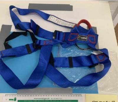 Photo of Blue Adjustable Climbing Harness sold via Wish