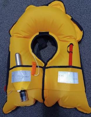 Photo of Adult Life Jacket CQYBII-150N sold via eBay