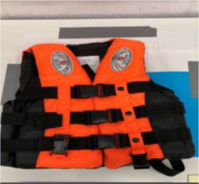 Photo of Professional adjustable life jacket with whistle sold via Wish