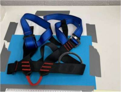 Photo of Half Body Outdoor Sports Harness sold via eBay