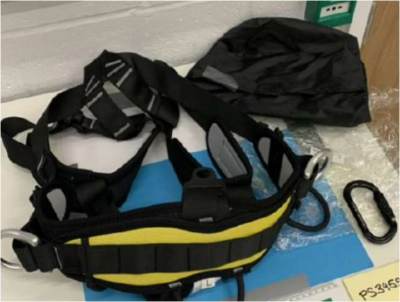 Photo of Full Body Detachable Harness sold via eBay