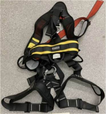 Photo of Black and Yellow Sporting Harness sold via Fruugo
