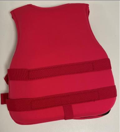 Photo of Jiuran XS Life Jacket sold via Wish