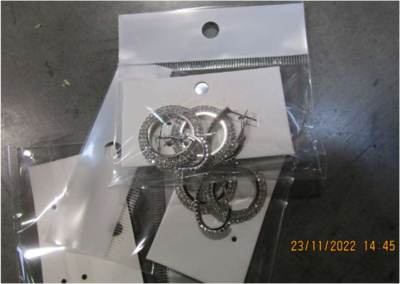 Photo of Silver coloured metal earrings