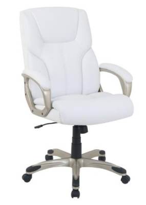 Photo of Amazon Basics Executive Desk Chairs
