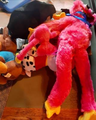 Photo of Huggy Wuggy Plush Toys